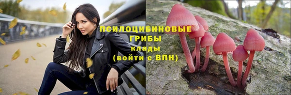 марихуана Бородино